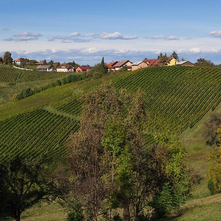 Spodnji Jakobski Dol Wine & Tourism Bracko Bed & Breakfast エクステリア 写真
