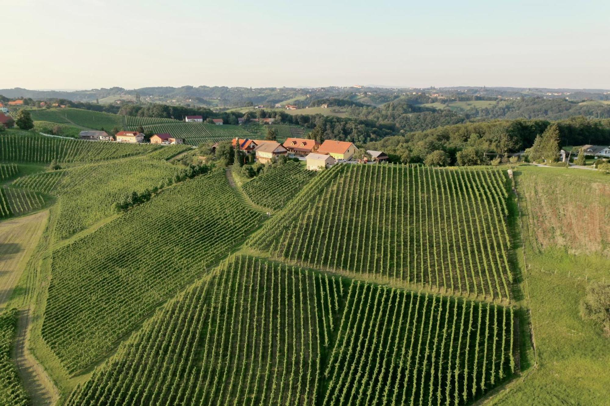Spodnji Jakobski Dol Wine & Tourism Bracko Bed & Breakfast エクステリア 写真