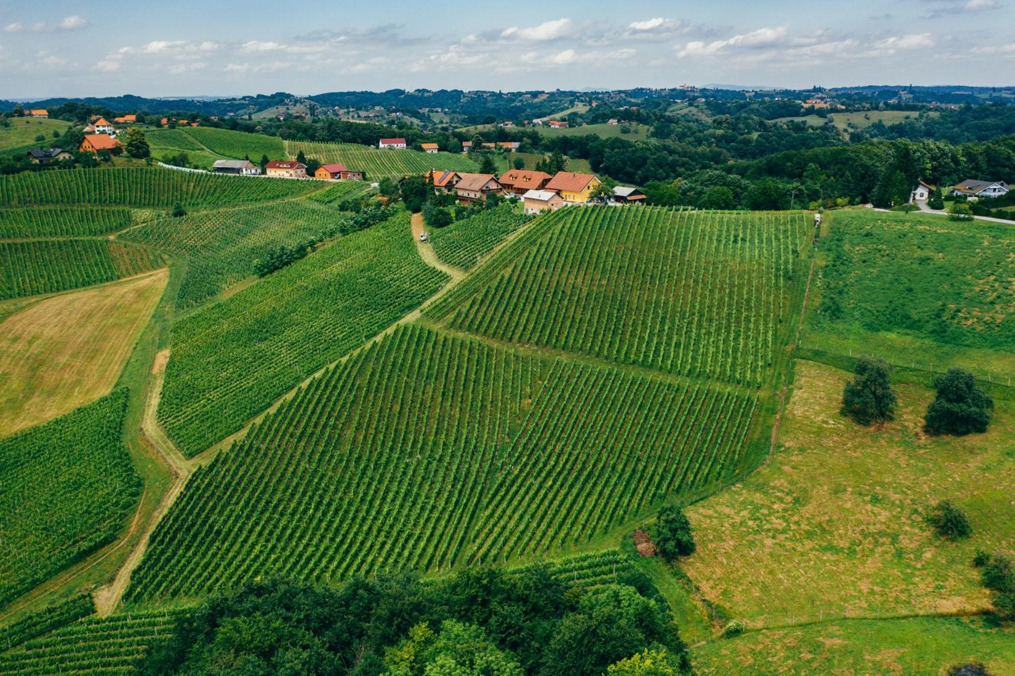 Spodnji Jakobski Dol Wine & Tourism Bracko Bed & Breakfast エクステリア 写真