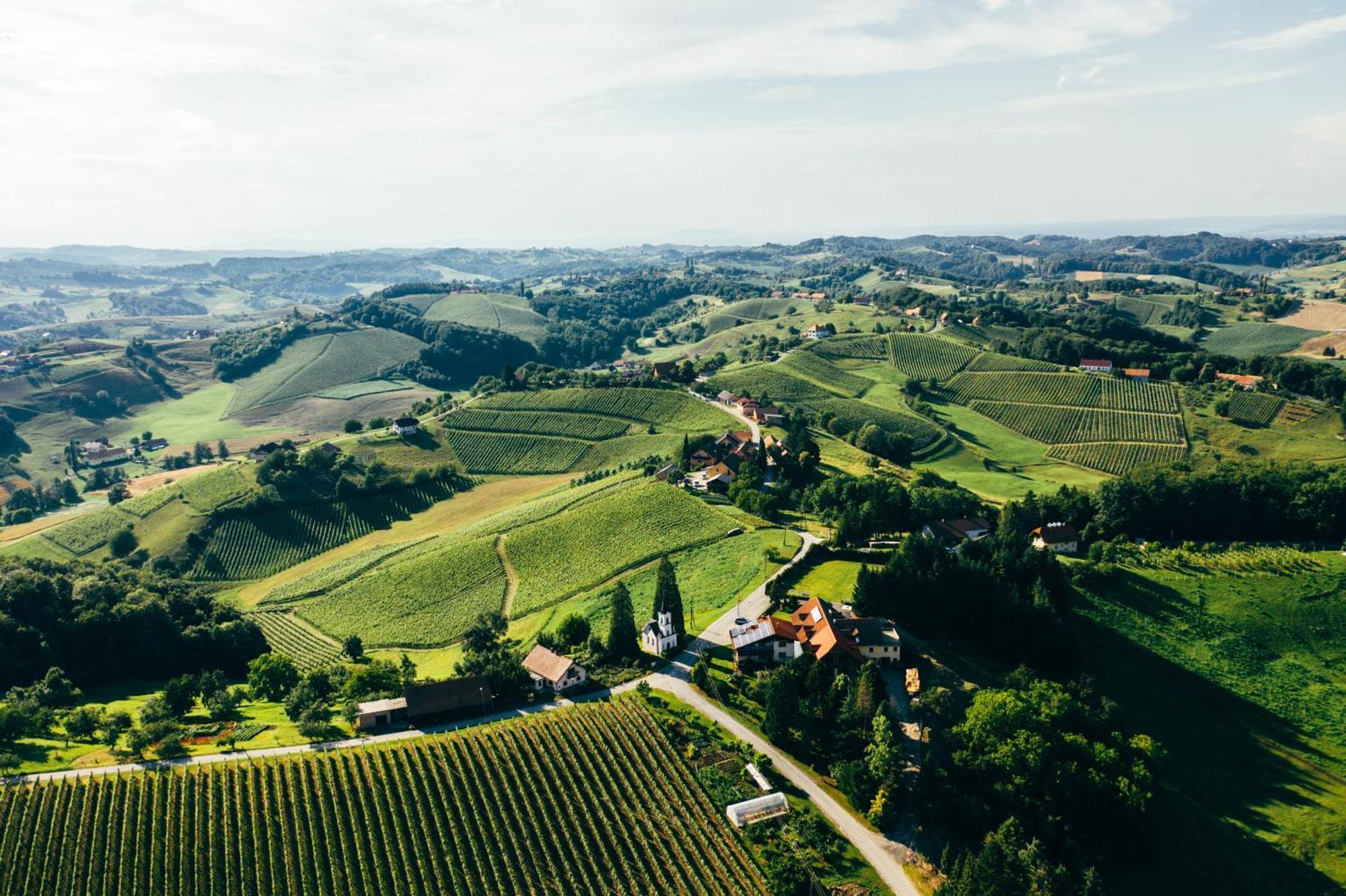 Spodnji Jakobski Dol Wine & Tourism Bracko Bed & Breakfast エクステリア 写真