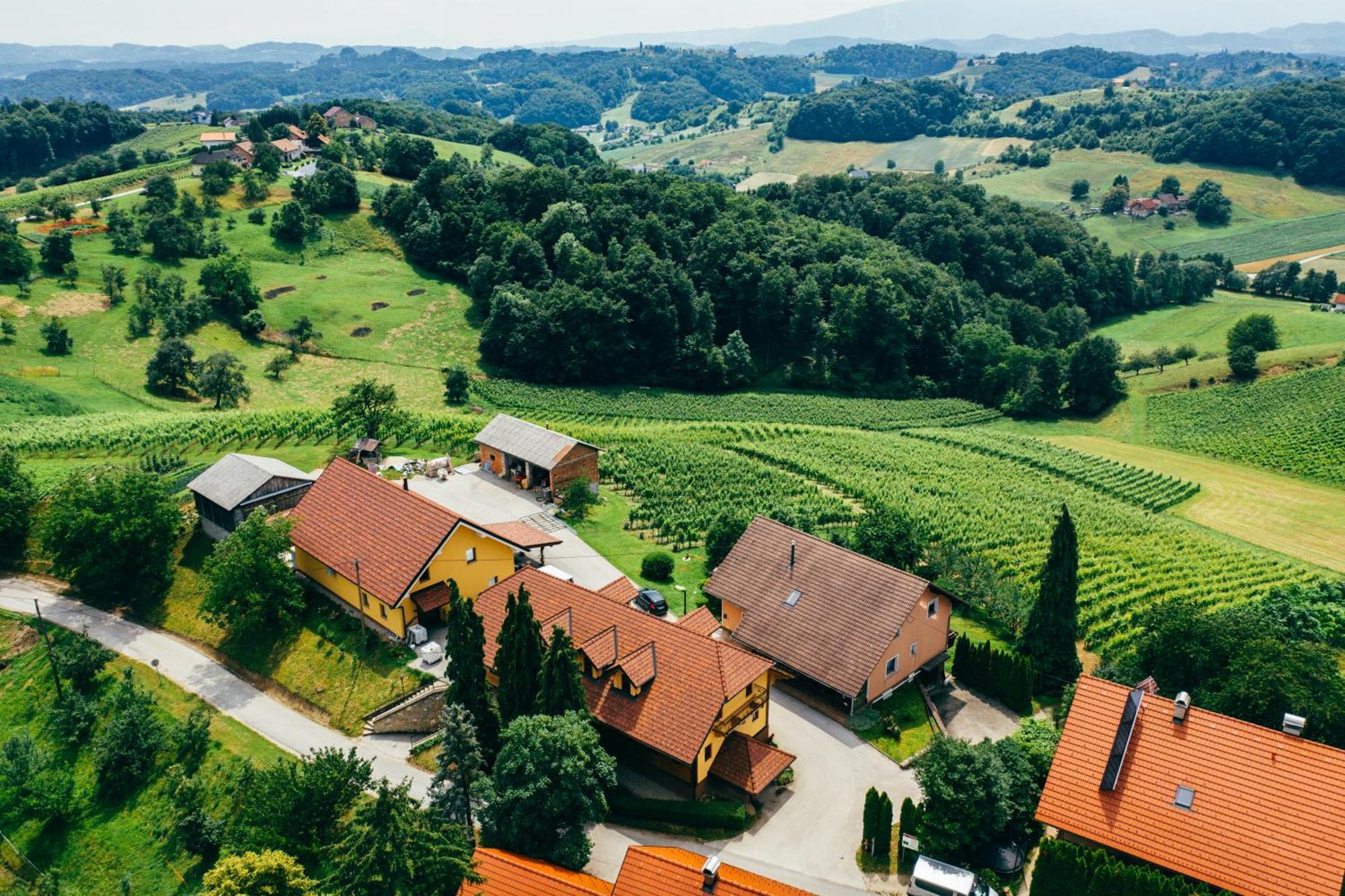 Spodnji Jakobski Dol Wine & Tourism Bracko Bed & Breakfast エクステリア 写真